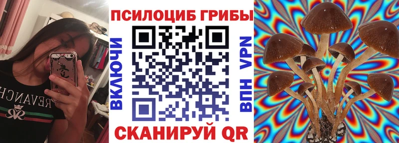 Галлюциногенные грибы GOLDEN TEACHER МЕГА ССЫЛКА нарко площадка телеграм дарнет шоп Обнинск
